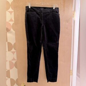 White House Black Market Velvet Tuxedo Pants